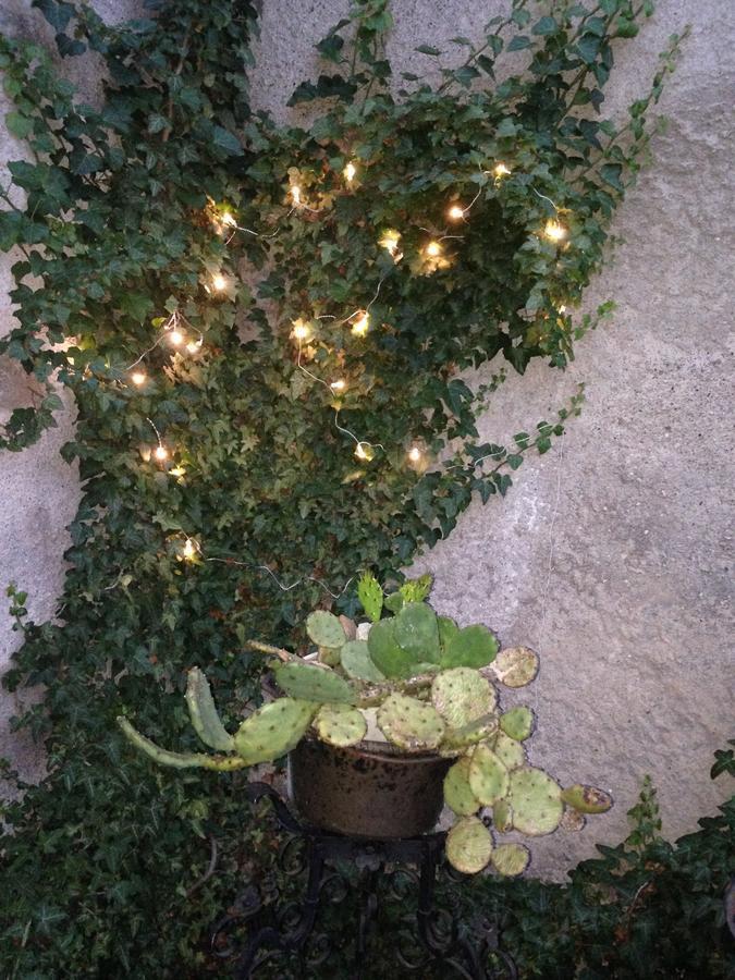 A Casa Di Gianni E Mari Acomodação com café da manhã Vestone Exterior foto